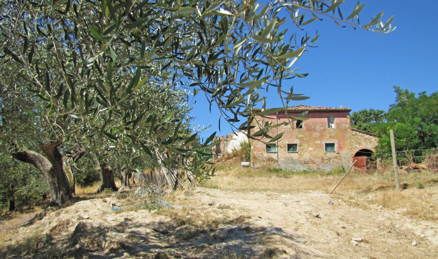 Toscana Immobiliare -  Farmhouse to restore on sale in Tuscany