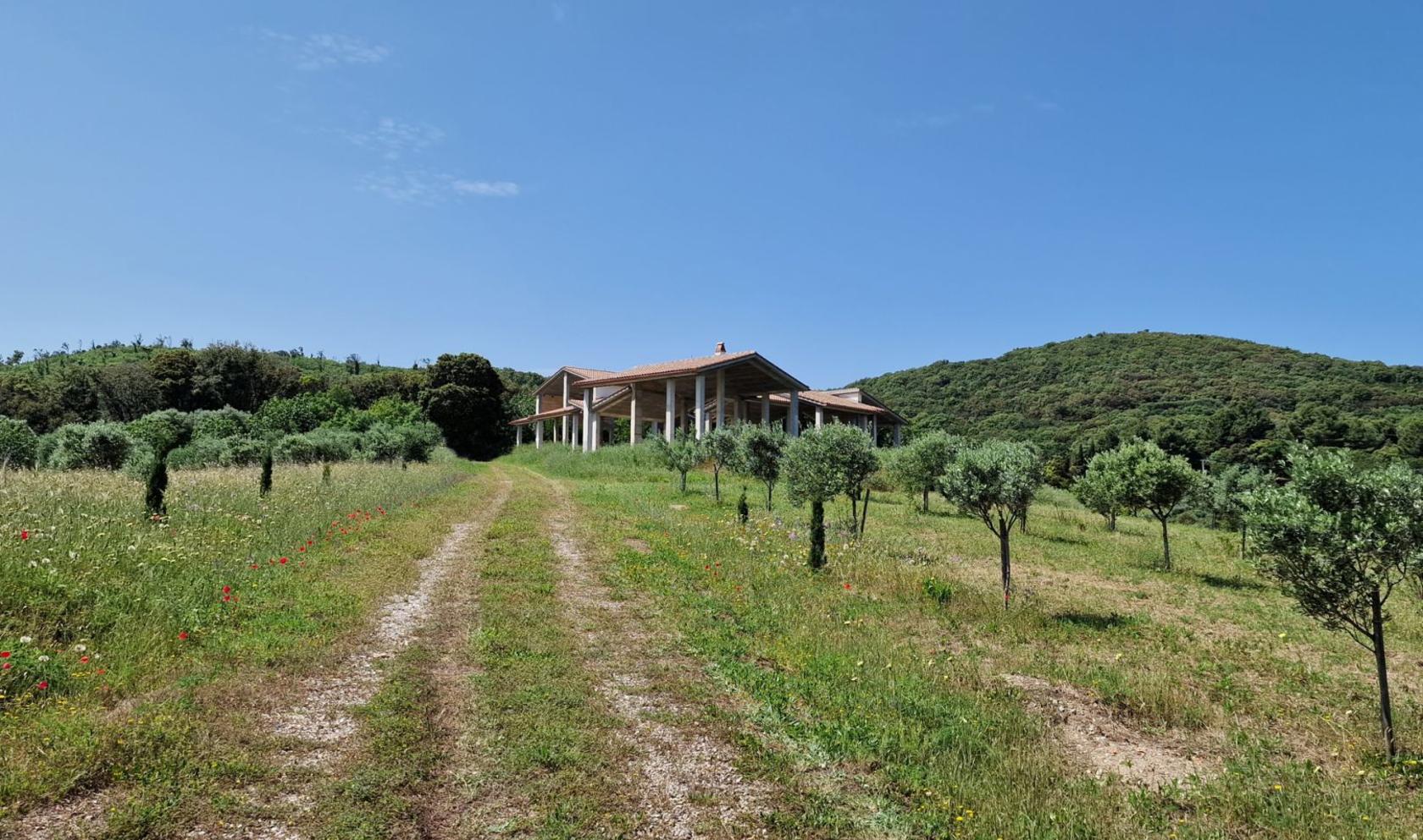 Toscana Immobiliare - Villa in costruzione con oliveto e azienda agricola a Piombino