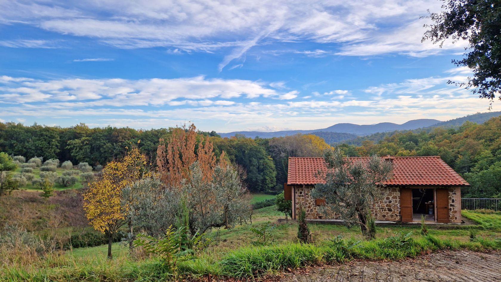 Toscana Immobiliare - Farmhouse with garden, wood and olive grove for sale in a panoramic area in the province of Siena
