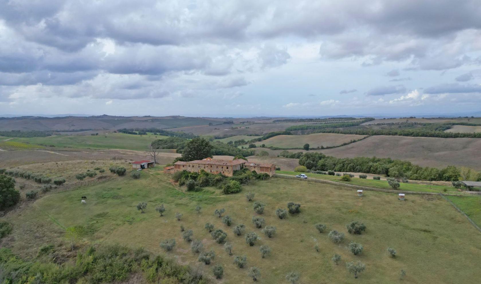 Toscana Immobiliare - Podere con 96 ha di terreno in vendita a Montalcino, Toscana