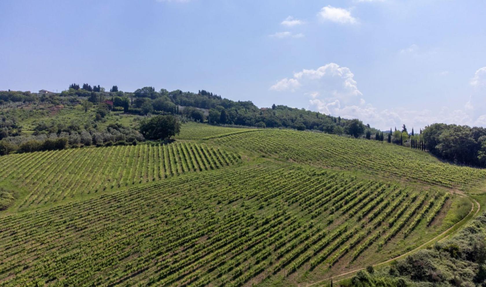 Toscana Immobiliare - Azienda vitivinicola con progetto di realizzazione di una cantina in vendita nel Chianti Fiorentino
