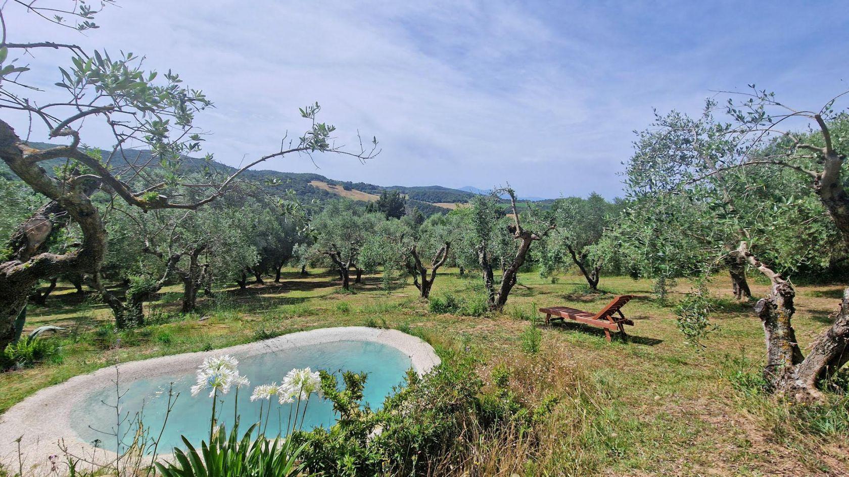 Toscana Immobiliare - Tuscan farmhouse with land and pool for sale in Trequanda Val d'Orcia view
