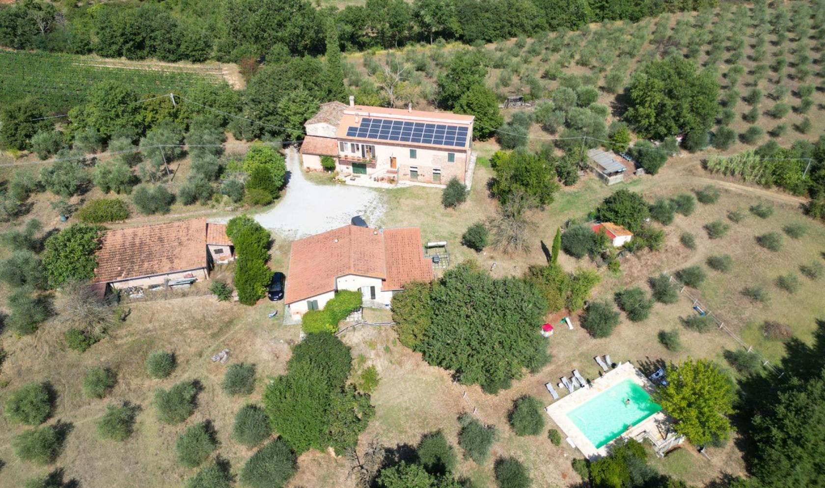 Toscana Immobiliare - Farmhouse with vineyard and olive grove for sale Sinalunga Siena Tuscany