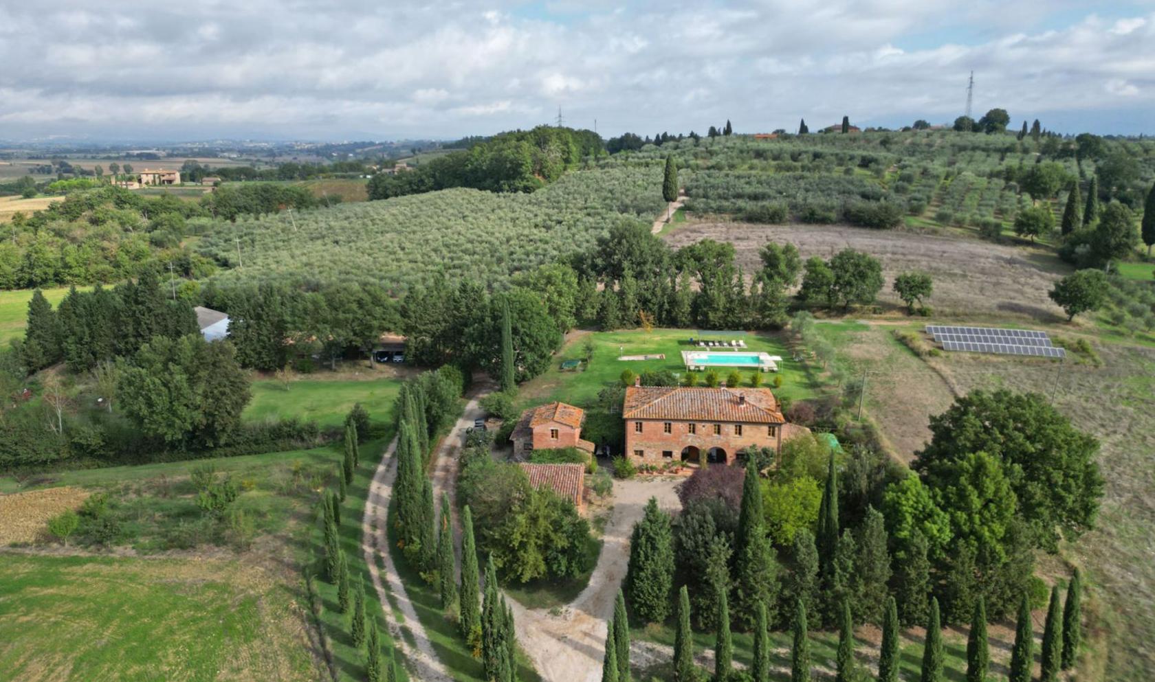 Toscana Immobiliare - Azienda agricola in vendita in provincia di Arezzo, Toscana