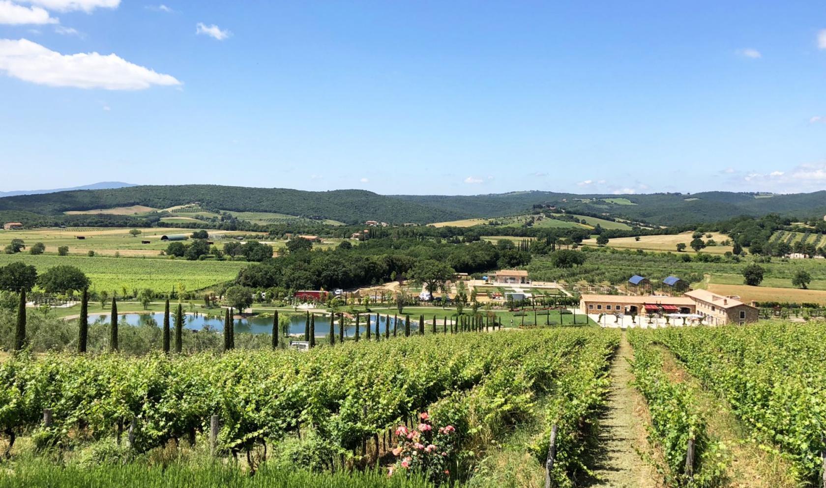 Toscana Immobiliare - Tenuta di lusso in vendita in provincia di Grosseto