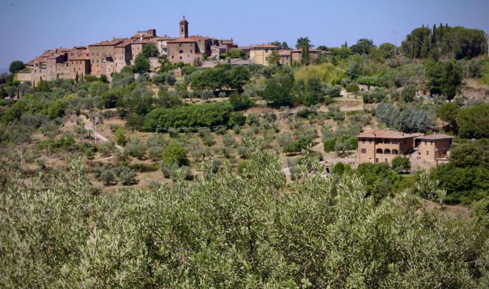 Toscana Immobiliare - https://www.toscanaimmobiliare.it/it/casali-e-rustici/agriturismo-con-piscina-e-spa-in-vendita-in-toscana.html